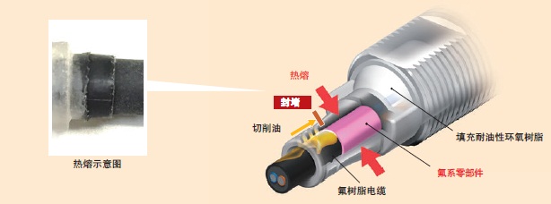 E2ER / E2ERZ ���c(di��n) 7 